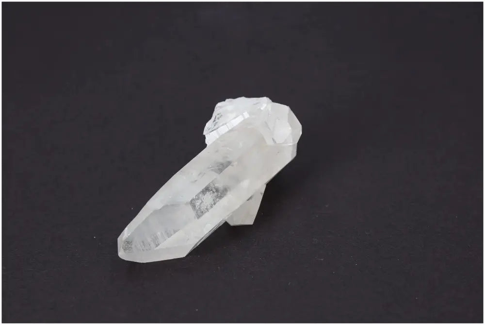 orbitvu|type:image2d