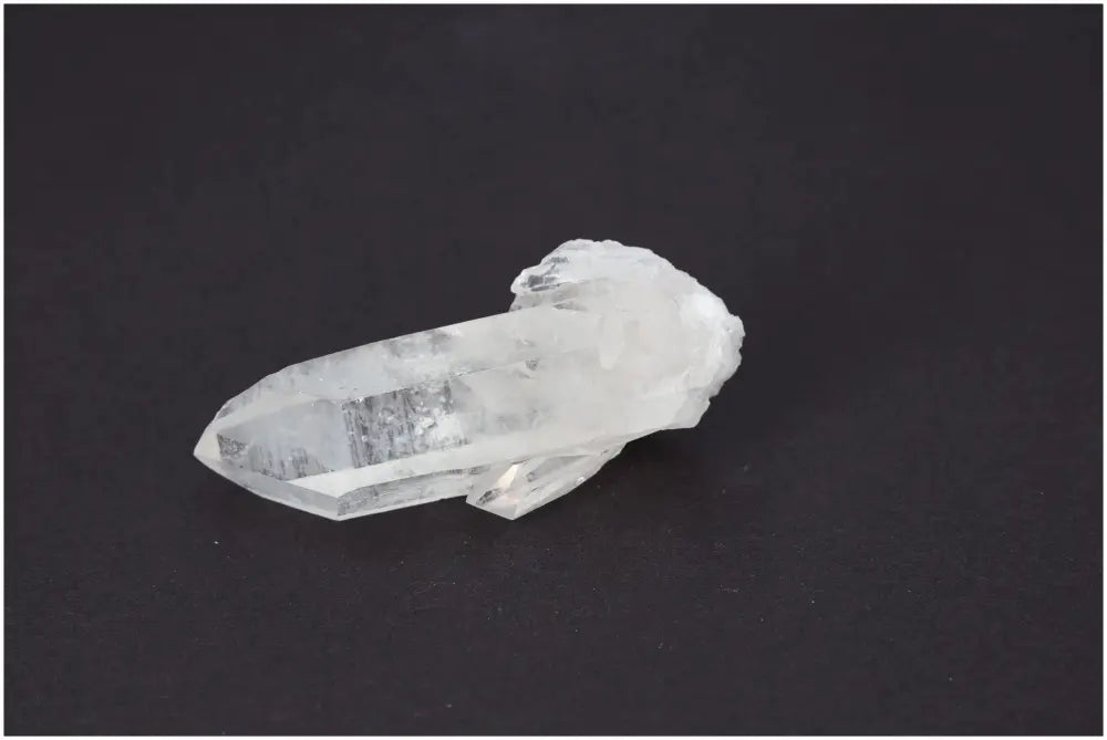 orbitvu|type:image2d