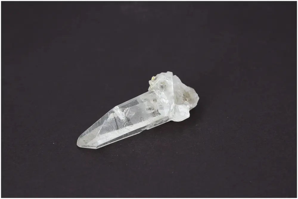 orbitvu|type:image2d