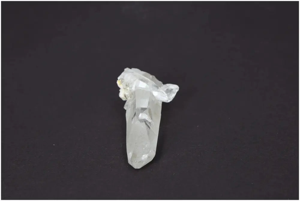 orbitvu|type:image2d