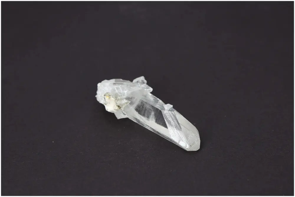 orbitvu|type:image2d