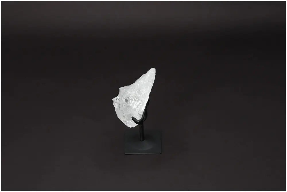 orbitvu|type:image2d