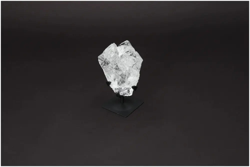 orbitvu|type:image2d