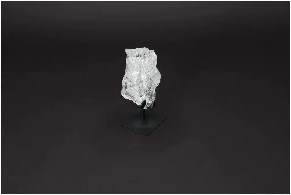 orbitvu|type:image2d