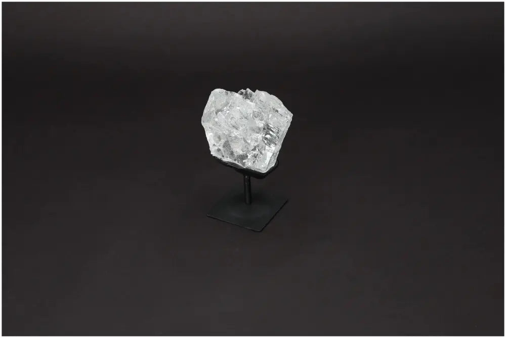 orbitvu|type:image2d