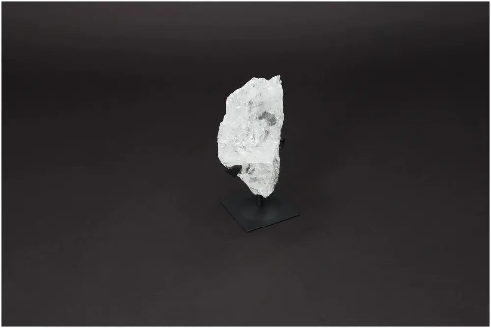 orbitvu|type:image2d