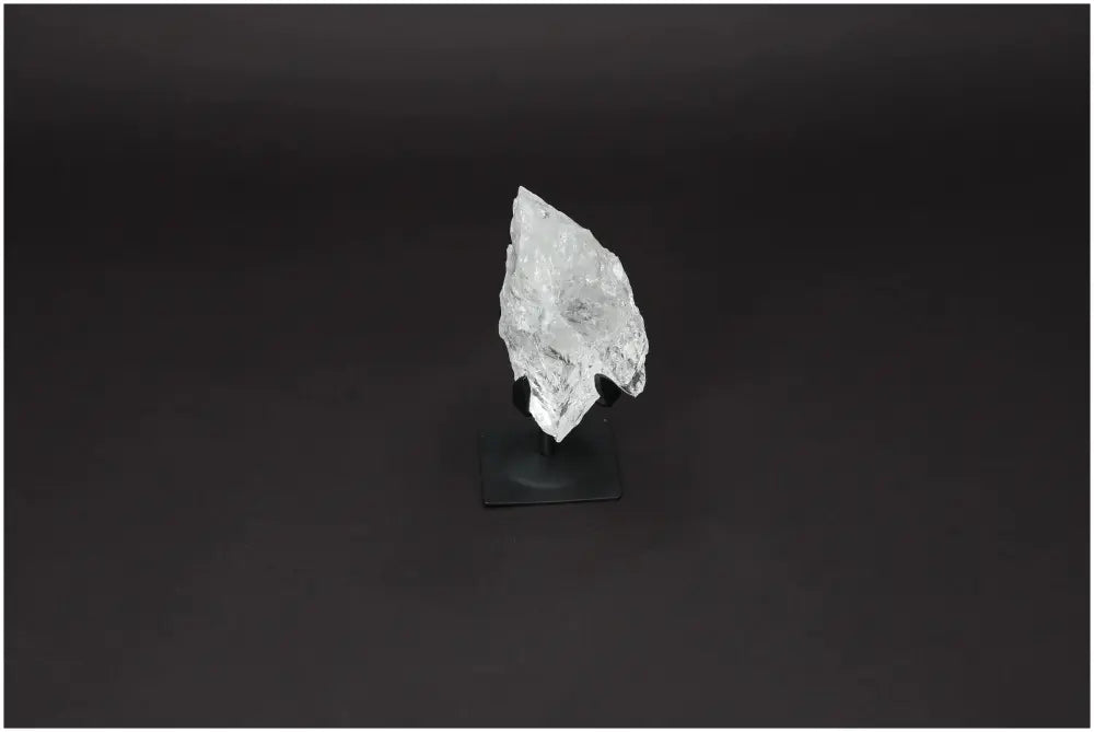 orbitvu|type:image2d