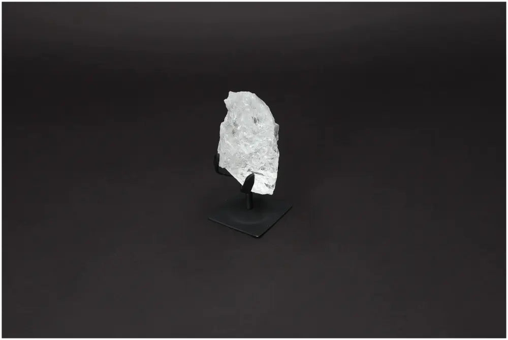 orbitvu|type:image2d