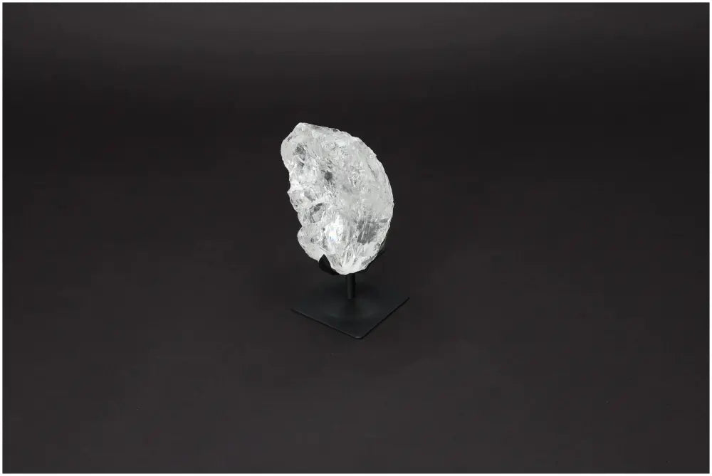 orbitvu|type:image2d