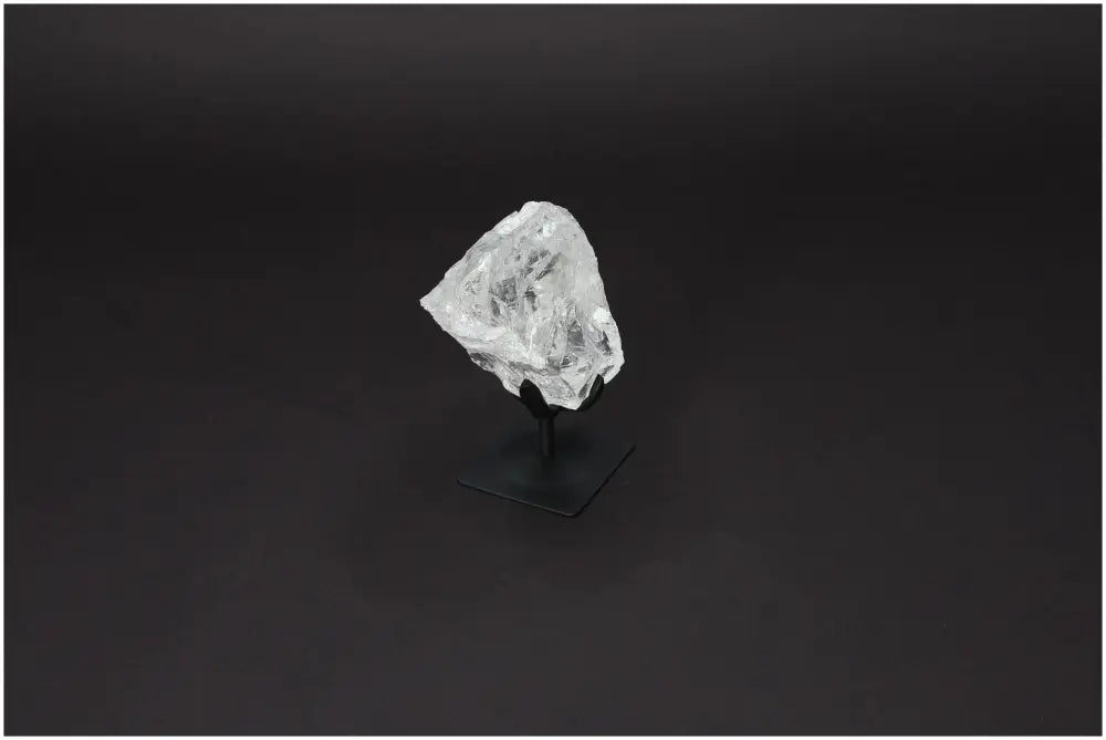 orbitvu|type:image2d