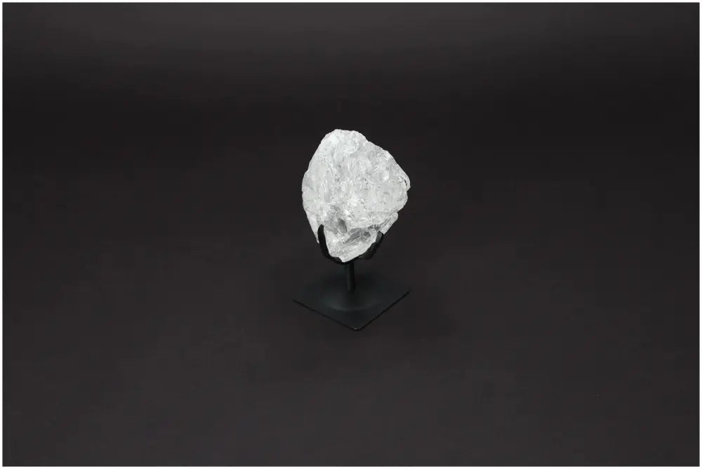 orbitvu|type:image2d