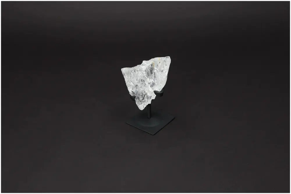 orbitvu|type:image2d