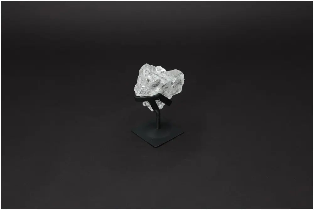 orbitvu|type:image2d