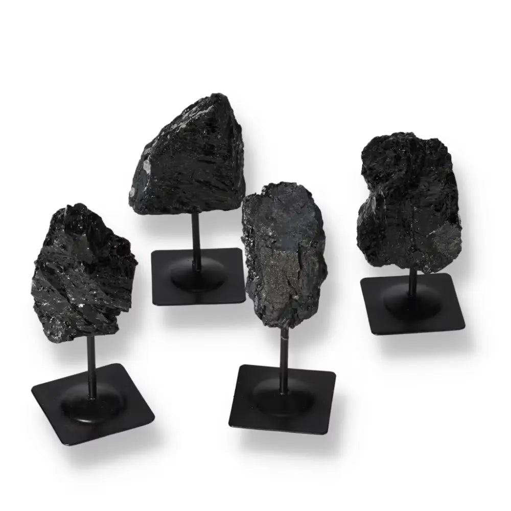 orbitvu|type:ORBITVU 360|https://orbitvu.co/share/M57sCnA2GnRGwxgxgu5aeC/6521085/360/iframe