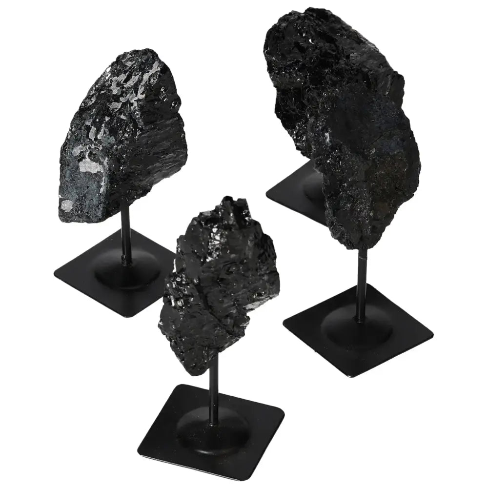 orbitvu|type:image2d