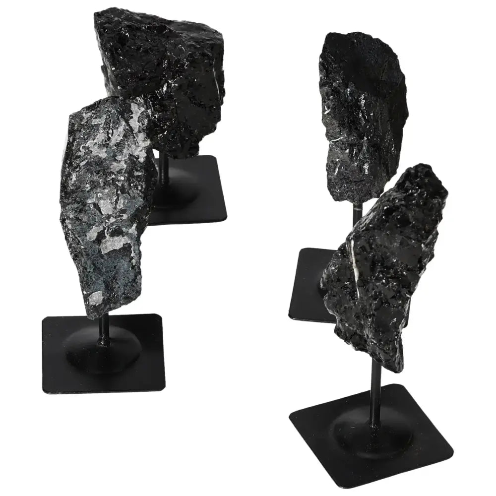 orbitvu|type:image2d