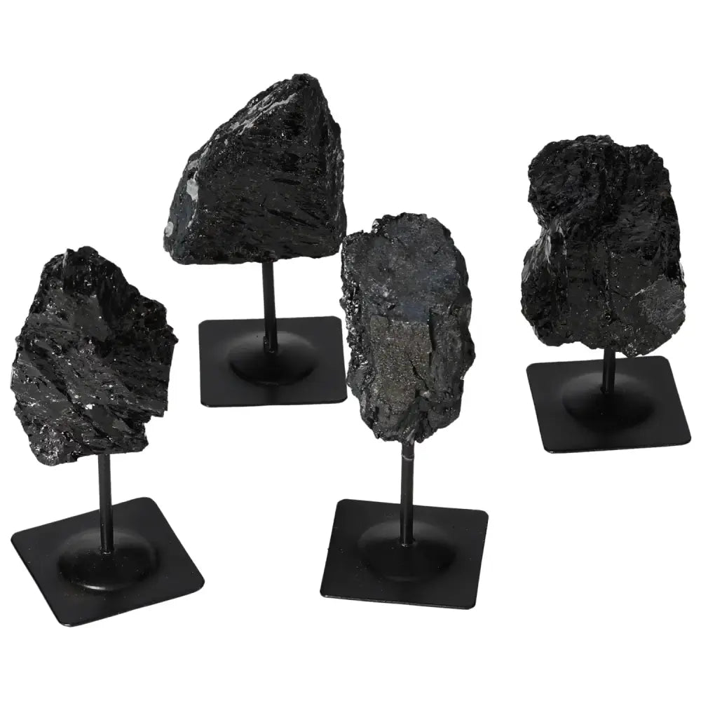 orbitvu|type:image2d