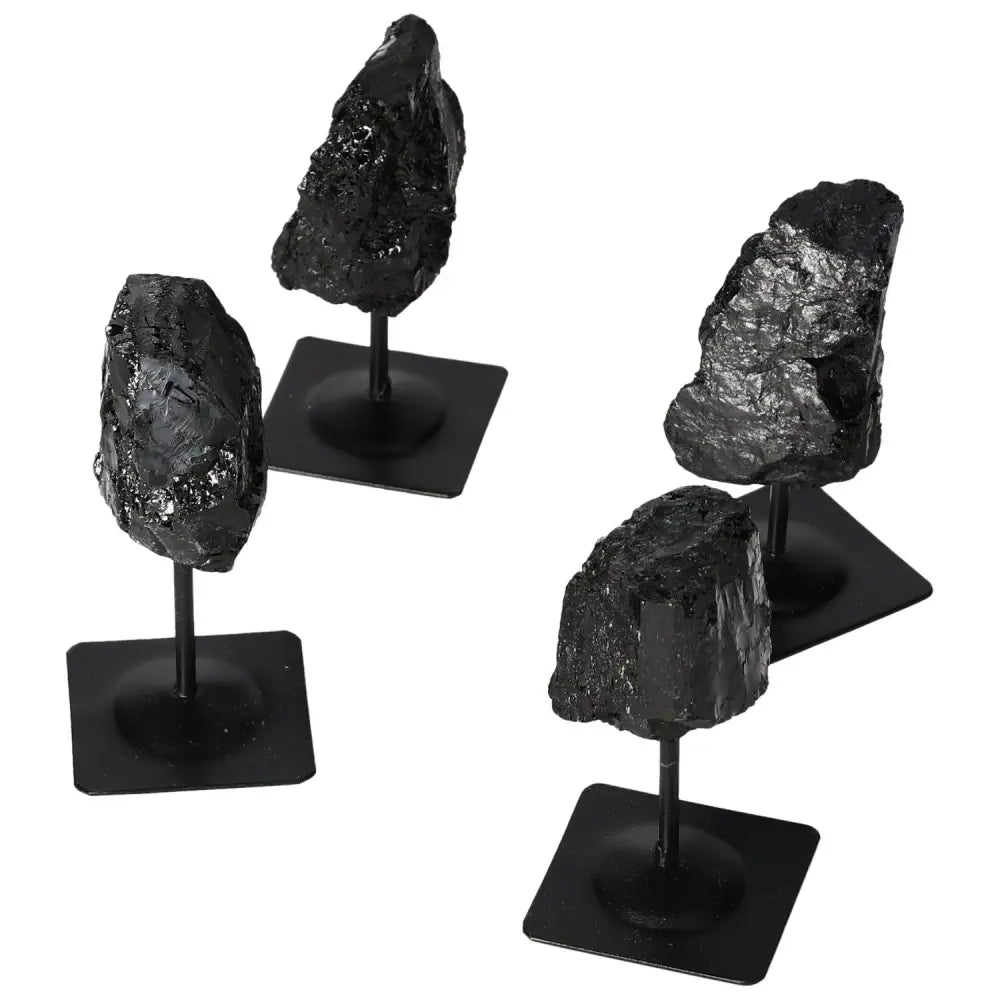 Rough Tourmaline crystals with metal stands showcasing deep black tones, perfect for natural decor from Sylvia Crystals.