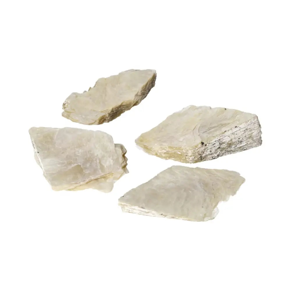 orbitvu|type:ORBITVU 360|https://orbitvu.co/share/XK4WQtWVRyj7EreQXbiycd/6523563/360/iframe