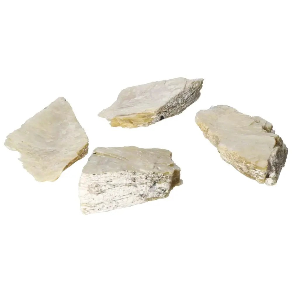 orbitvu|type:image2d