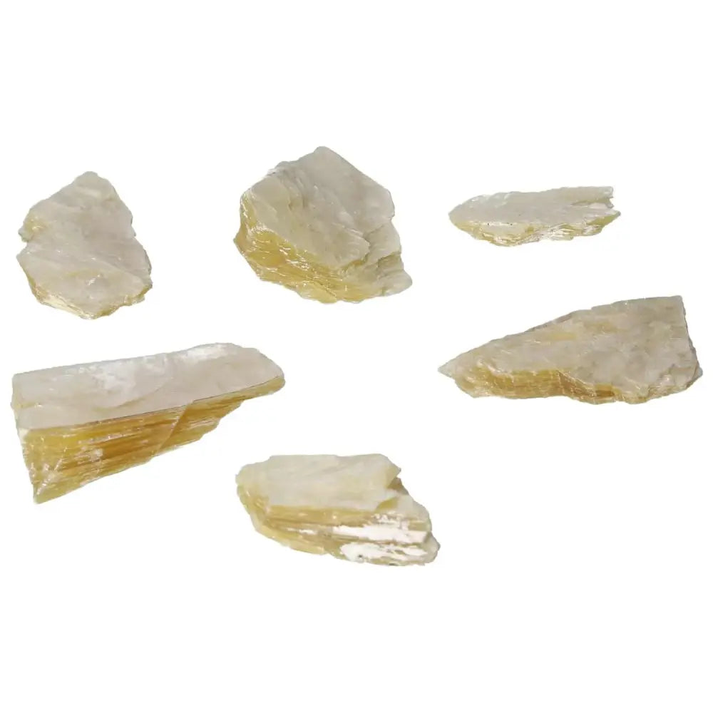 orbitvu|type:image2d