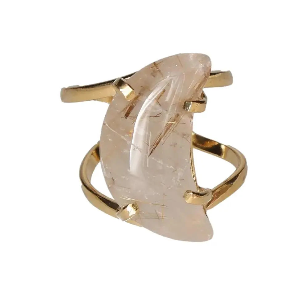 orbitvu|type:image2d