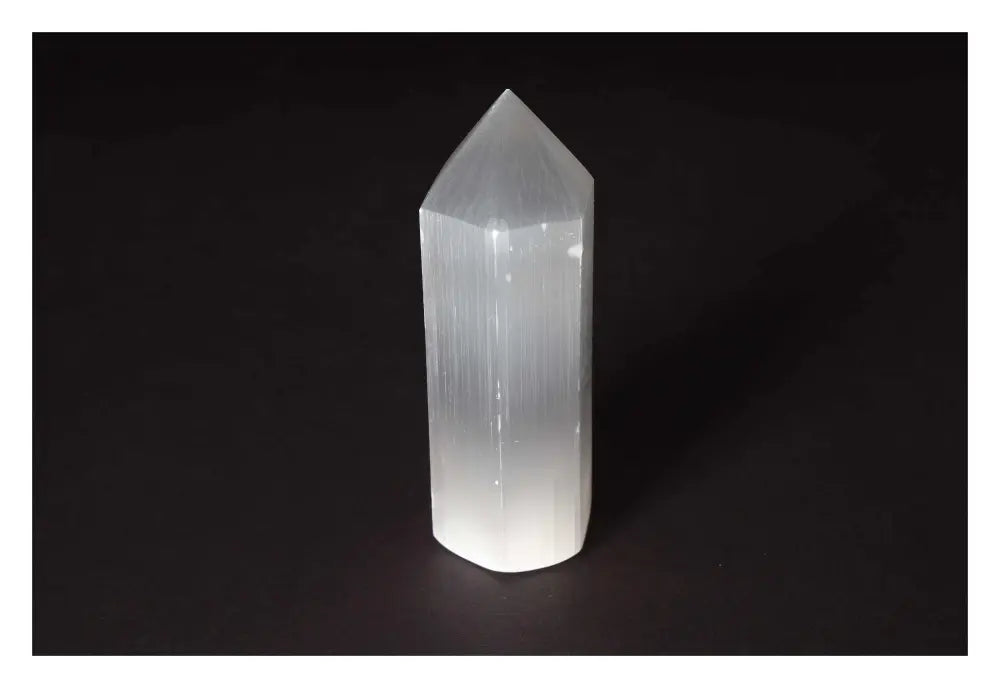 orbitvu|type:image2d