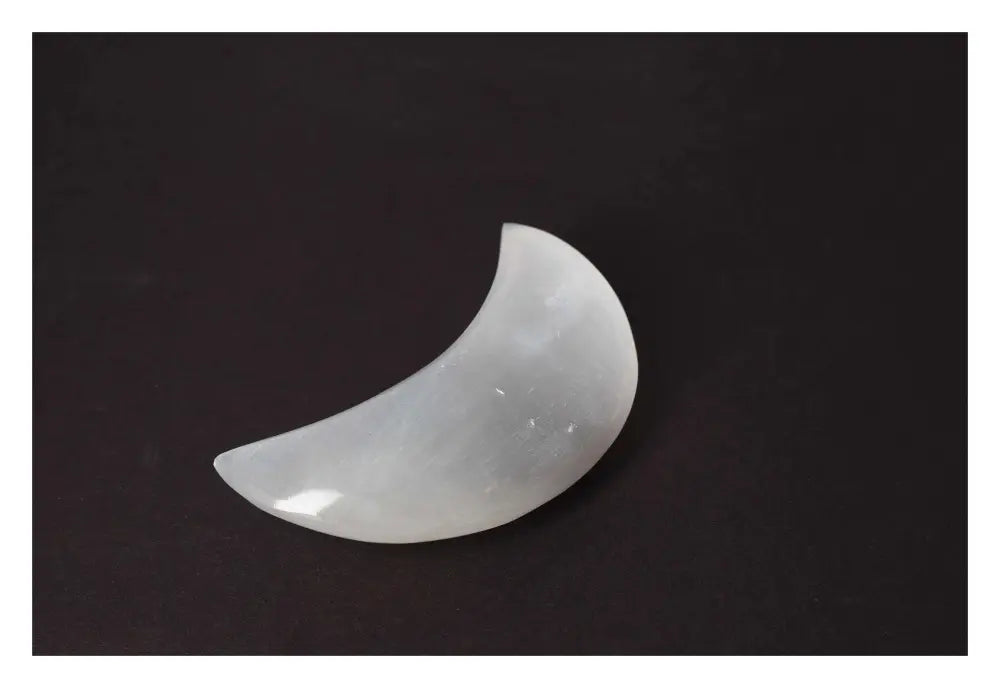 orbitvu|type:image2d