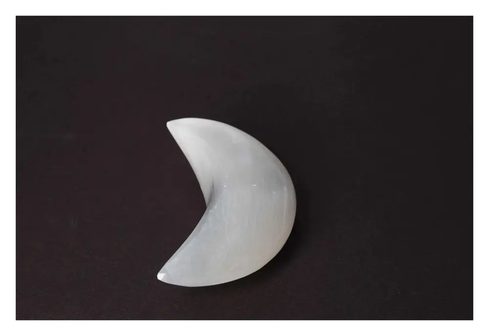 orbitvu|type:image2d