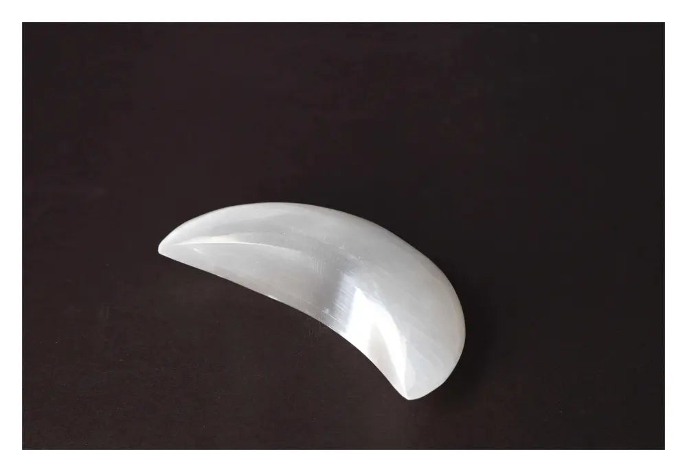 orbitvu|type:image2d