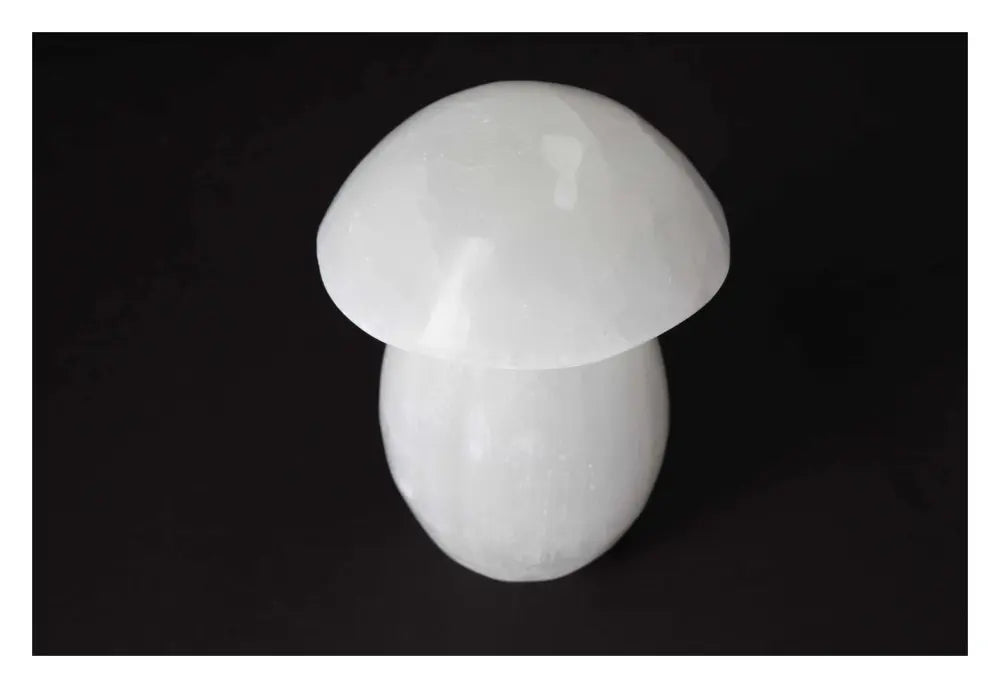 orbitvu|type:image2d