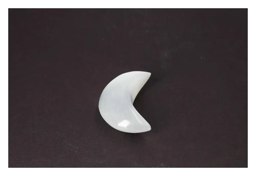 orbitvu|type:image2d