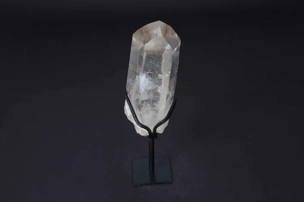 orbitvu|type:image2d