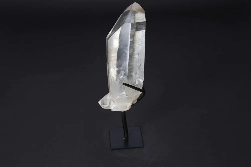 orbitvu|type:image2d