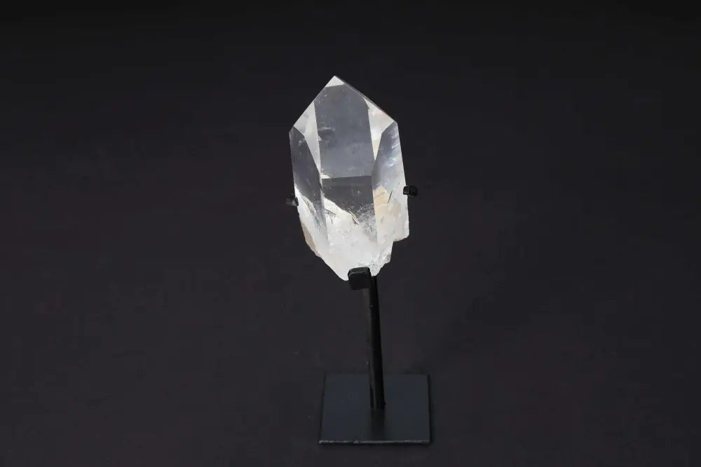 orbitvu|type:image2d