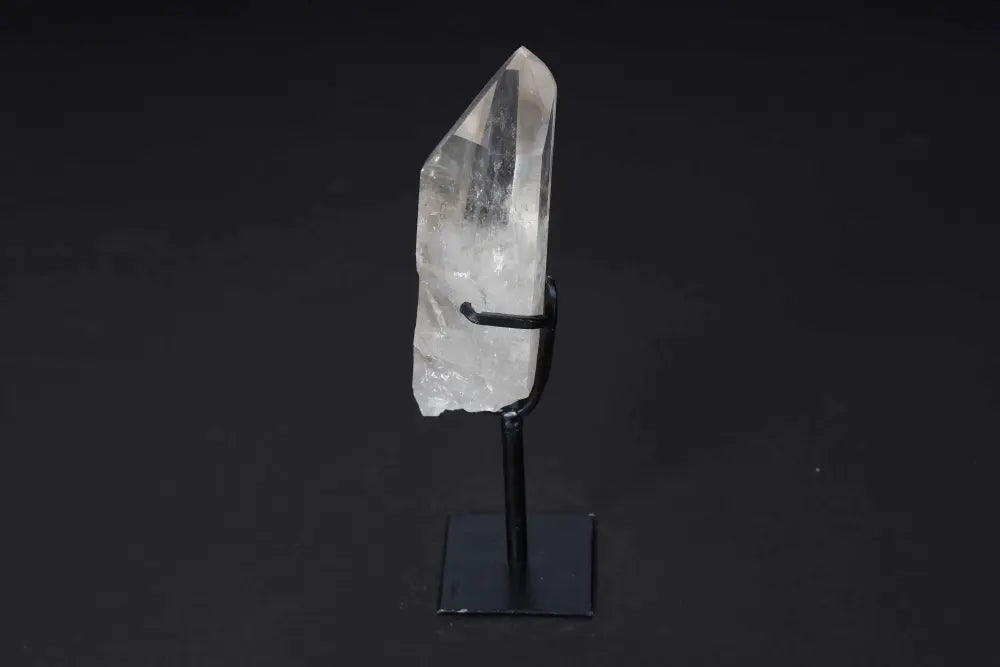 orbitvu|type:image2d