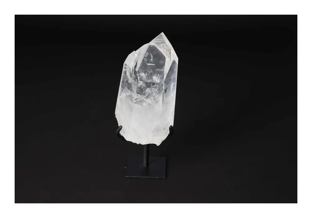 orbitvu|type:image2d