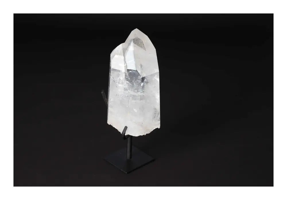 orbitvu|type:image2d