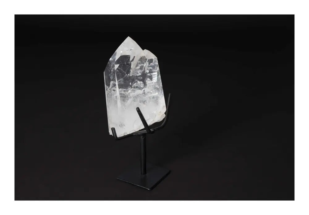 orbitvu|type:image2d