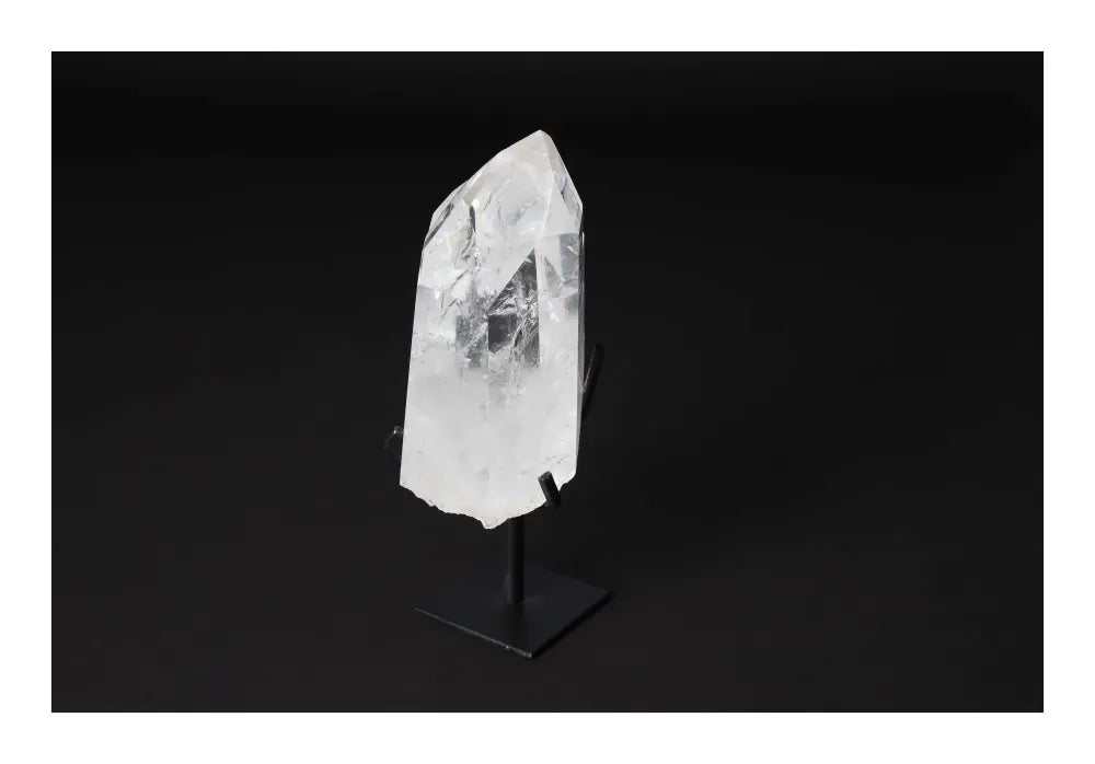 orbitvu|type:image2d