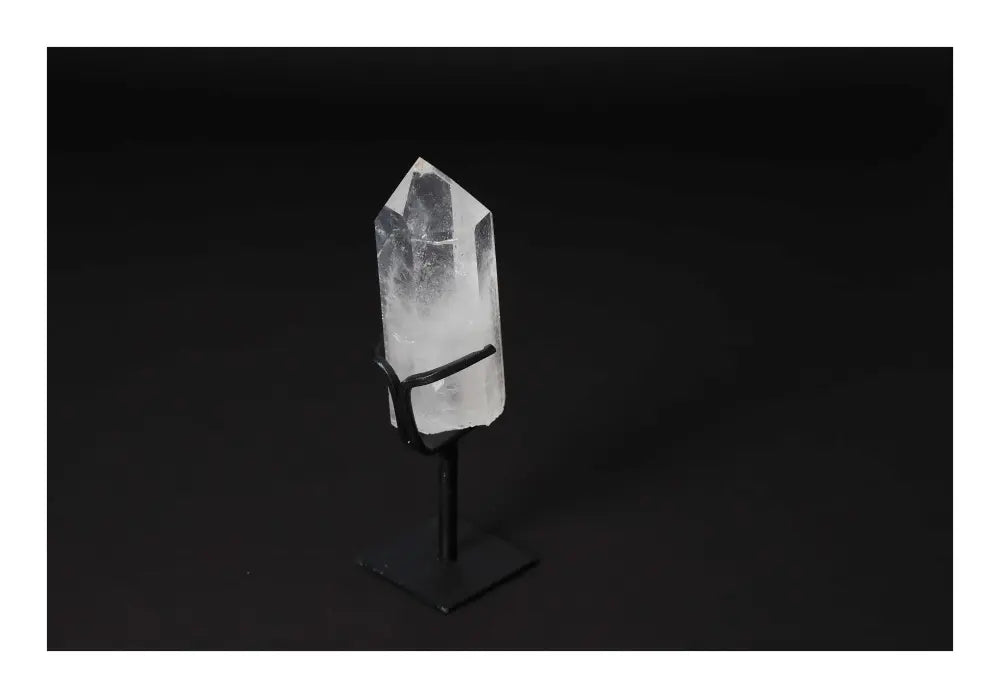 orbitvu|type:image2d