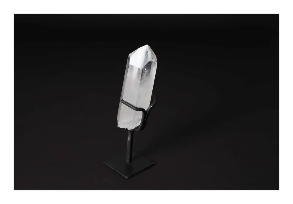 orbitvu|type:image2d