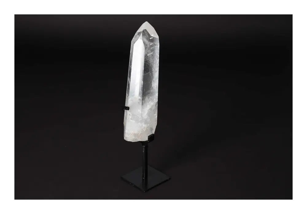 orbitvu|type:image2d