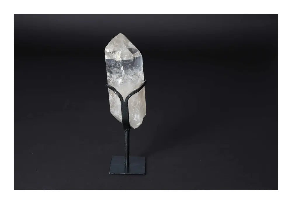 orbitvu|type:image2d