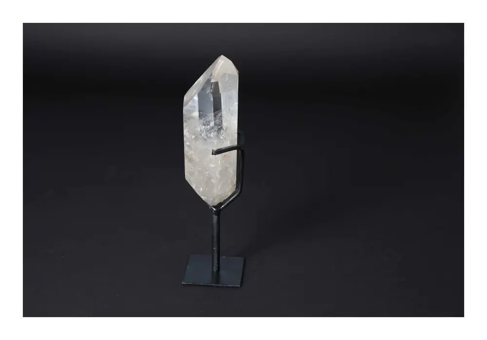 orbitvu|type:image2d