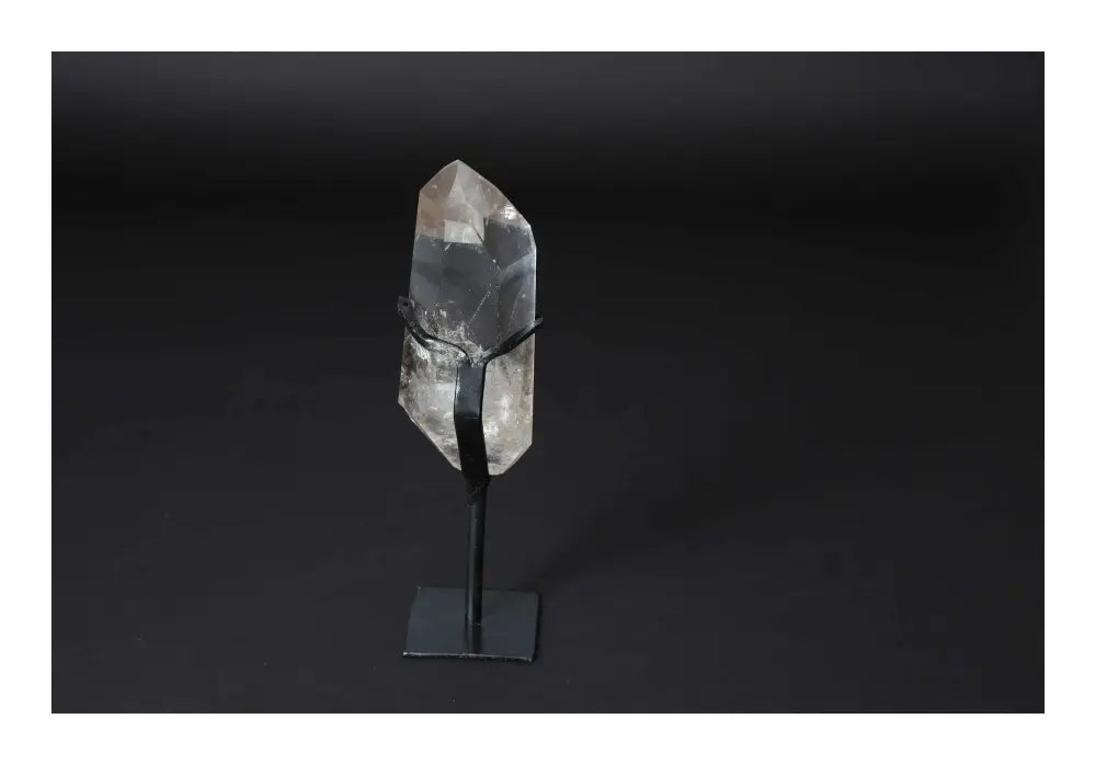 orbitvu|type:image2d