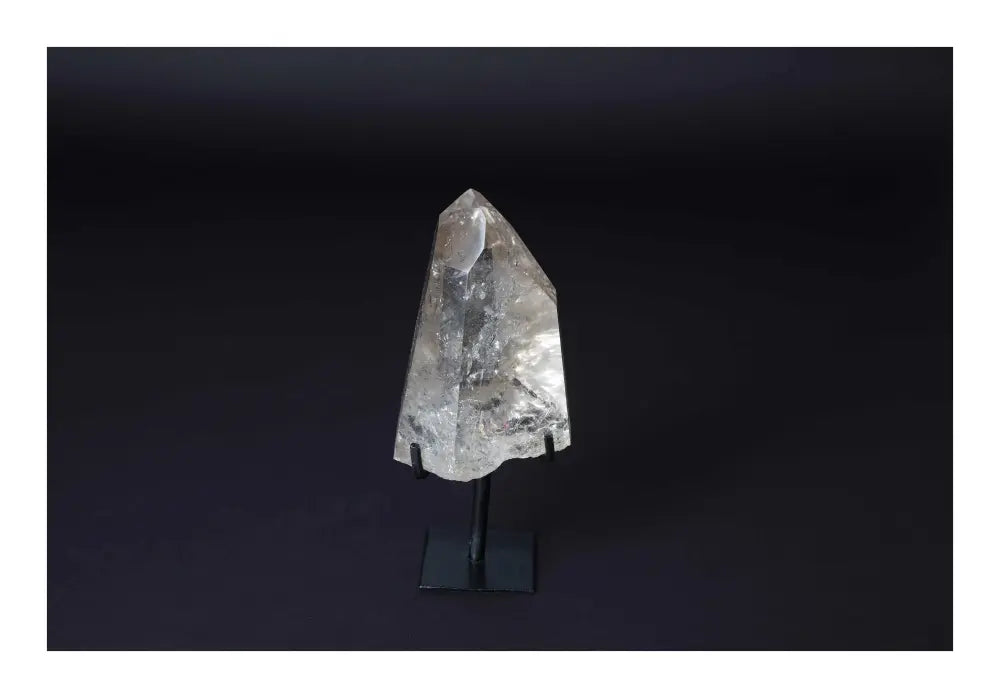 orbitvu|type:image2d