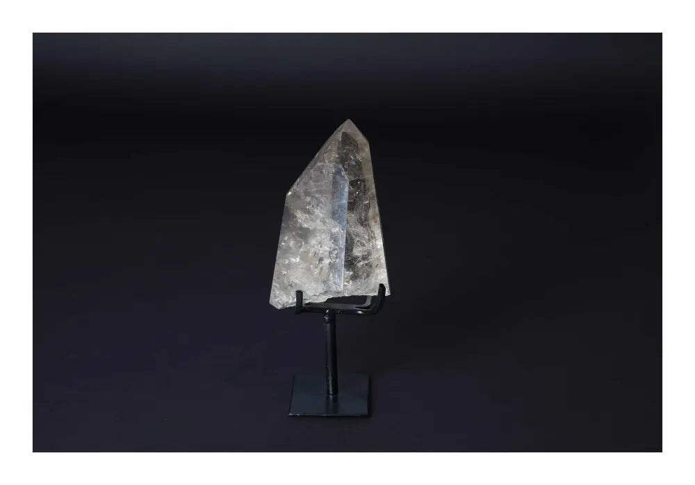 orbitvu|type:image2d