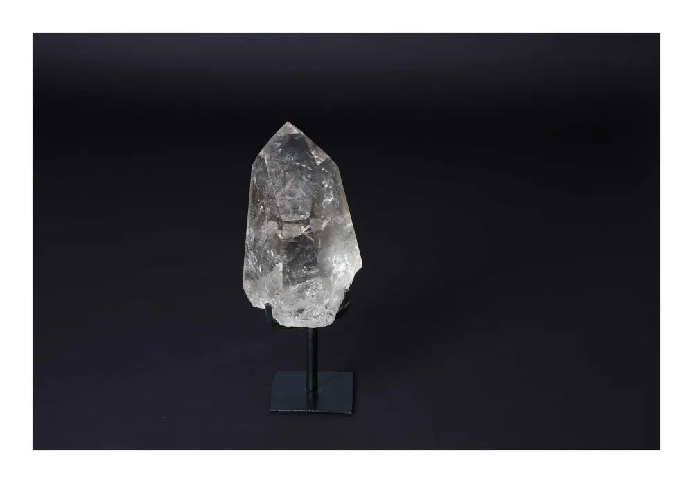 orbitvu|type:image2d