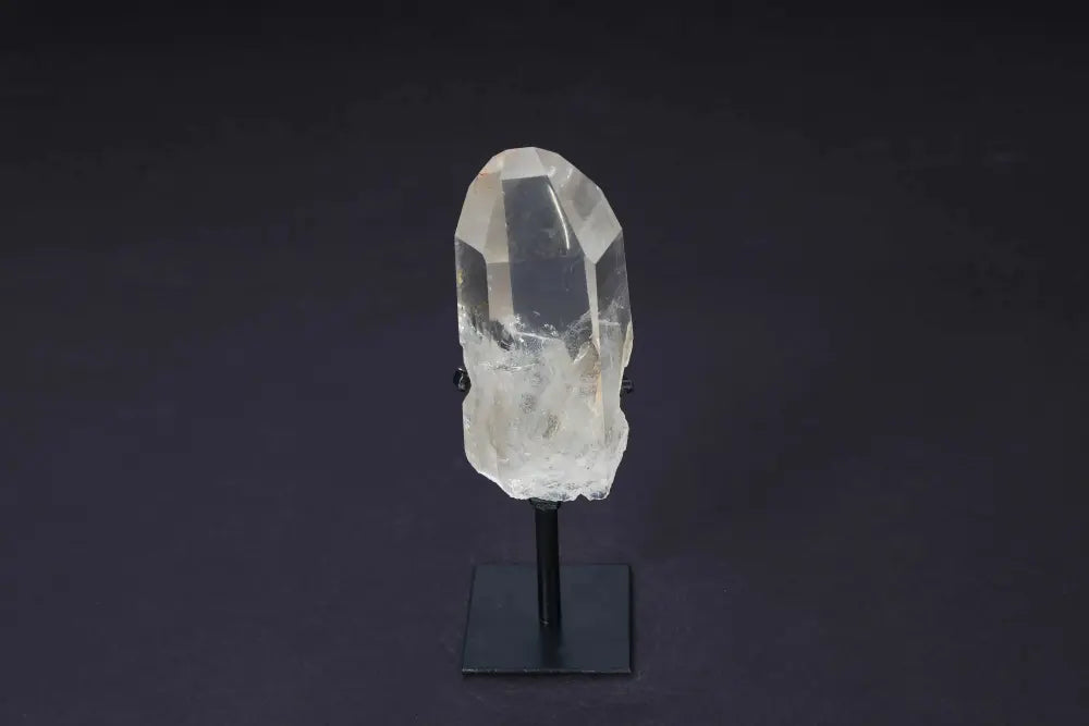 orbitvu|type:image2d